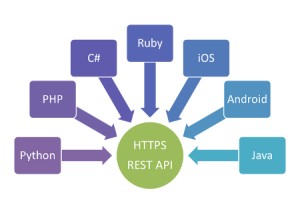 Representational state transfer (REST) API