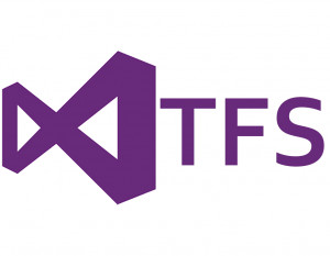 Team Foundation Server (TFS)