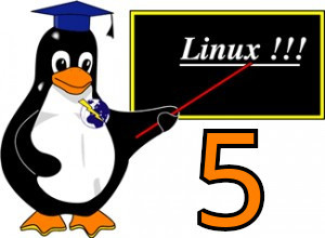 Frequently used Linux commands 5