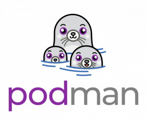 Podman Explained for Developers: Architecture, Use Cases, Pros and Cons